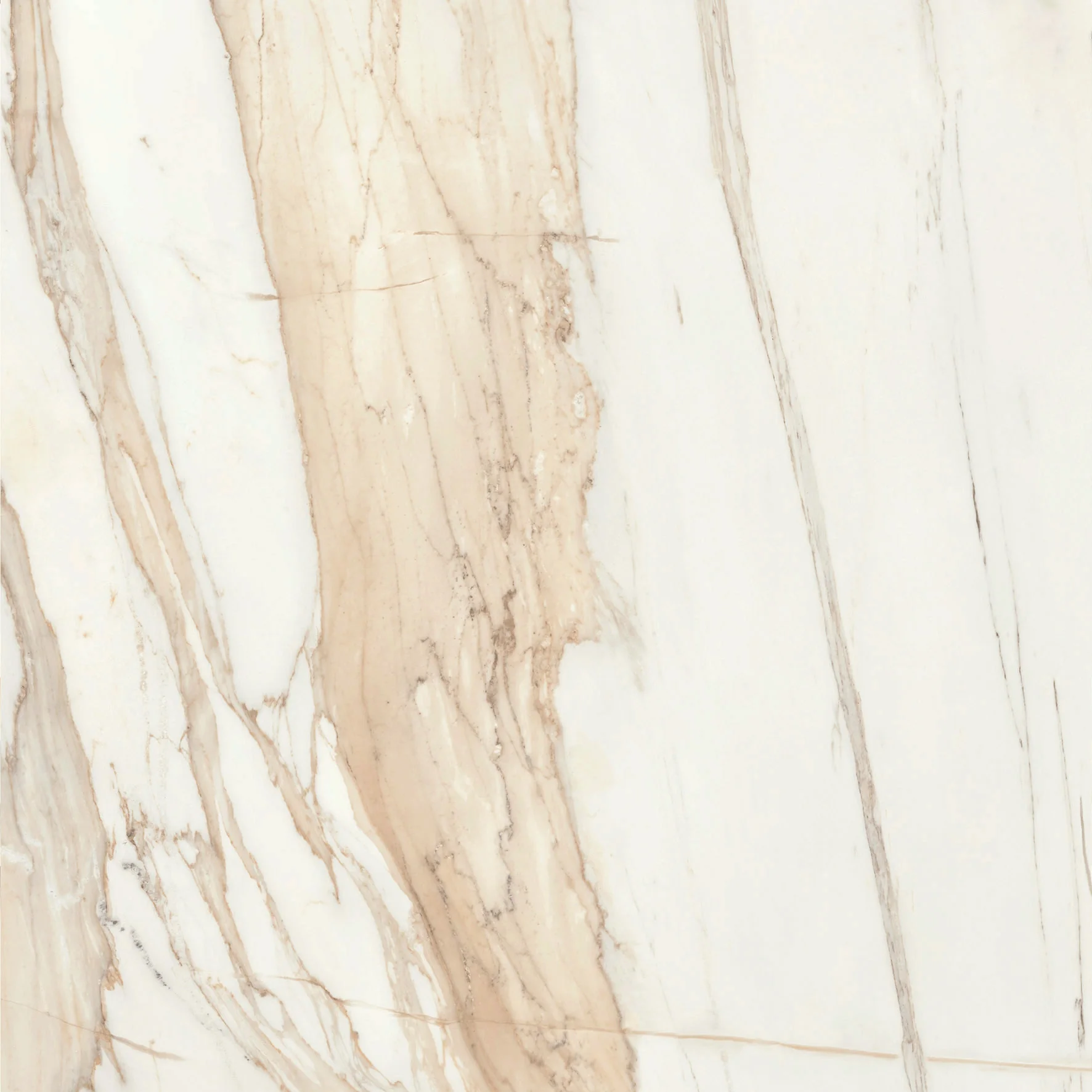 Bernini HG